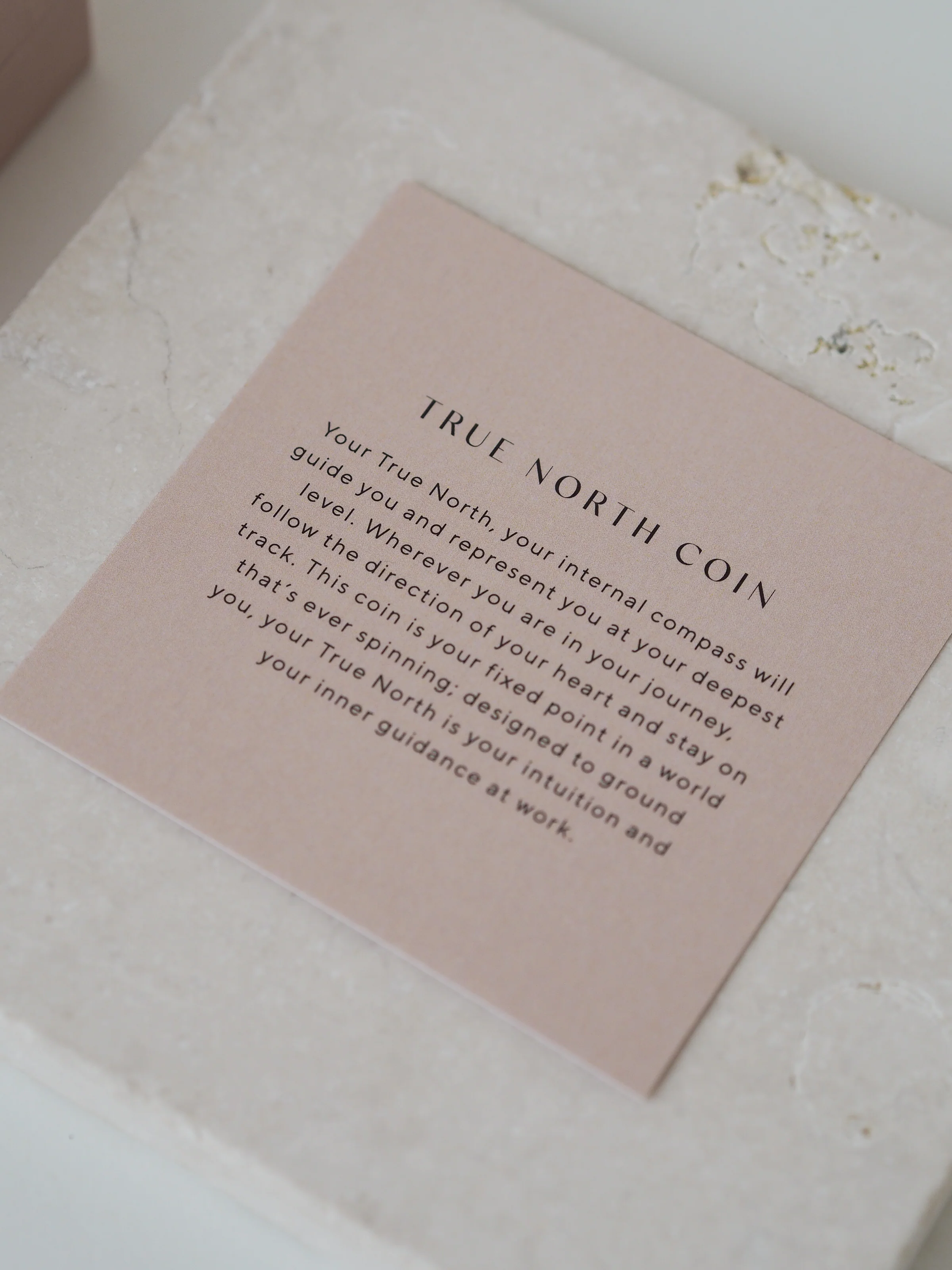 TRUE NORTH COIN (STERLING SILVER) - Image 6